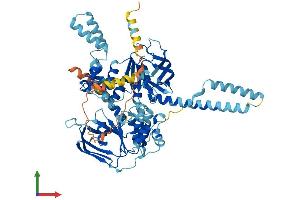 AlphaFold protein structure predicition of Mouse Recombinant Abcf2 Protein, UniprotID Q99LE6