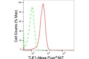 Flow cytometric analysis of TLE1 expression in Hela cells using TLE1 antibody (ABIN7800602), 1:2,000).