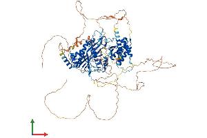 Protein Structure (PS) image for Tubulin tyrosine Ligase-Like Family, Member 3 (TTLL3) (AA 1-927) protein (His tag) (ABIN7561995)