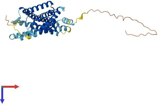 GPR81 Protein (AA 1-343) (His tag)