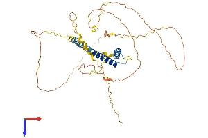 SOHLH1 Protein (AA 1-357) (His tag)