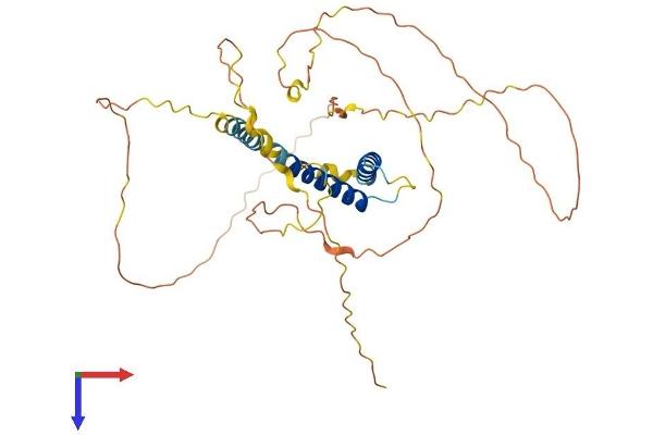 SOHLH1 Protein (AA 1-357) (His tag)
