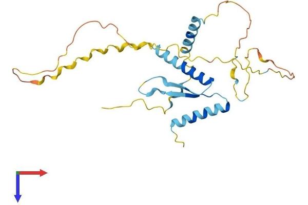 PRAS40 Protein (AA 1-257) (His tag)