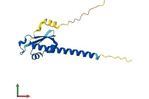 Protein Structure (PS) image for Oocyte Expressed Protein (OOEP) (AA 1-149) protein (His tag) (ABIN7550346)