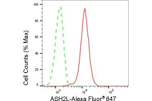 Flow cytometric analysis of ASH2L expression in C2C12 cells using ASH2L antibody (ABIN7800326), 1:2,000). (Rekombinanter ASH2L Antikörper)