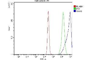 Flow Cytometry analysis of K562 cells using anti-AlaRS/AARS1 antibody (ABIN7602380). (Alanine--tRNA Ligase, Mitochondrial (AARS-1) (AA 729-968) Antikörper)