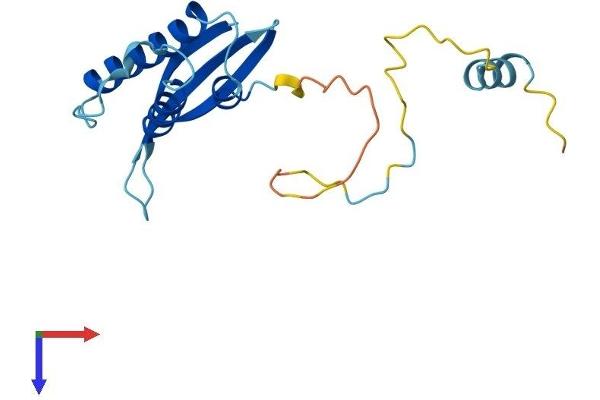 SNX24 Protein (AA 1-169) (His tag)