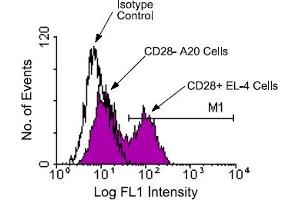 Flow Cytometry (FACS) image for anti-CD28 (CD28) antibody (FITC) (ABIN370907) (CD28 Antikörper  (FITC))