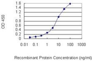 Detection limit for recombinant GST tagged CLEC2D is 0. (CLEC2D Antikörper  (AA 1-154))