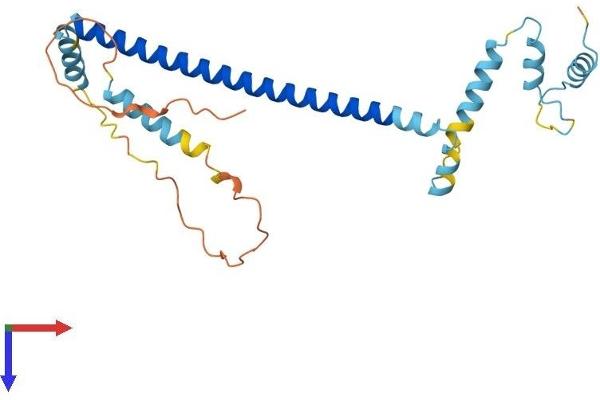 CLTA Protein (AA 1-248) (His tag)