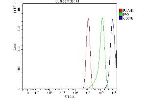 anti-CD276 (CD276) (AA 29-458) antibody
