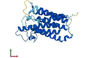 AlphaFold protein structure predicition of Mouse Recombinant Srd5a2 Protein, UniprotID Q99N99