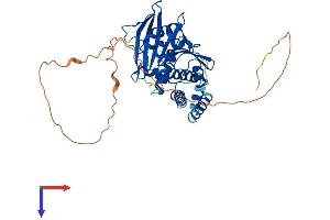 PTPN20 Protein (AA 1-420) (His tag)