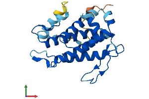 Protein Structure (PS) image for MOB1, Mps One Binder Kinase Activator-Like 2C (MOBKL2C) (AA 1-216) protein (His tag) (ABIN7558698)