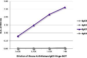 ELISA plate was coated with purified human IgG1, IgG2, IgG3, and IgG4. (Maus anti-Human IgG3 (Hinge Region) Antikörper (Biotin))