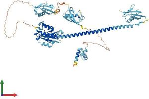 Protein Structure (PS) image for Fas (TNFRSF6) Associated Factor 1 (FAF1) (AA 1-649) protein (His tag) (ABIN7556168)