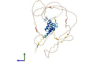 Protein Structure (PS) image for ArfGAP with FG Repeats 2 (AGFG2) (AA 1-479) protein (His tag) (ABIN7558389)