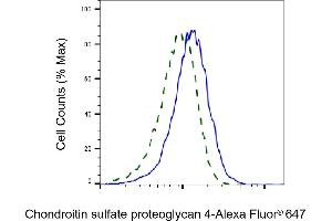 Validation of Chondroitin sulfate proteoglycan 4 knockdown using flow cytometry. (Rekombinanter NG2 Antikörper)