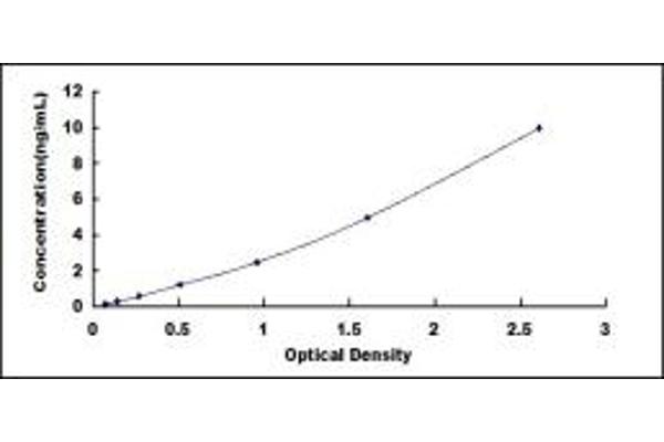 Topoisomerase I ELISA Kit