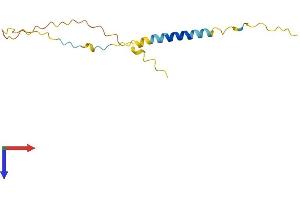 BEX4 Protein (AA 1-120) (His tag)