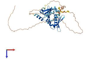 BNIPL Protein (AA 1-357) (His tag)