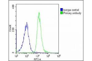Flow Cytometry (FACS) image for anti-ATPase, H+ Transporting, Lysosomal 13kDa, V1 Subunit G3 (ATP6V1G3) (AA 15-49) antibody (ABIN6242176)