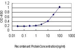 Detection limit for recombinant GST tagged FBXL3 is approximately 1ng/ml as a capture antibody. (FBXL3 Antikörper  (AA 1-100))