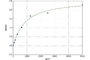 Heat Shock Protein 90kDa beta (Grp94), Member 1 (HSP90B1) ELISA Kit