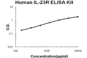 Human IL-23R PicoKine ELISA Kit standard curve