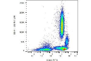 Surface staining of human peripheral blood with anti-human CD44 (MEM-85) FITC. (CD44 Antikörper  (FITC))