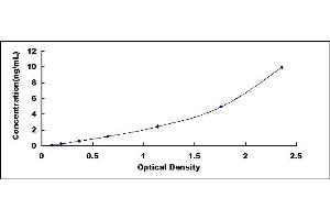 Typical standard curve (SLC2A3 ELISA Kit)