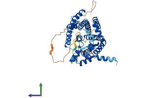 Protein Structure (PS) image for Sphingosine-1-Phosphate Phosphatase 1 (SGPP1) (AA 1-441) protein (His tag) (ABIN7546081)