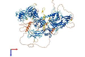 USP47 Protein (AA 1-1376) (His tag)