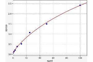 Typical standard curve (SDC4 ELISA Kit)