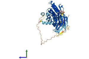 AlphaFold protein structure predicition of Human Recombinant TPTE Protein, UniprotID P56180