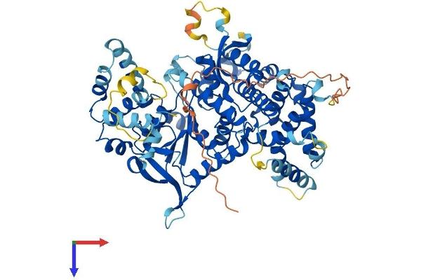 ASTE1 Protein (AA 1-672) (His tag)