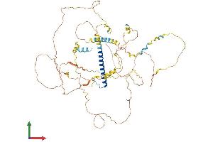 Protein Structure (PS) image for CREB Regulated Transcription Coactivator 1 (CRTC1) (AA 1-634) protein (His tag) (ABIN7553580)
