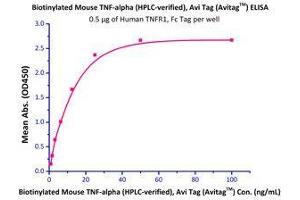 Immobilized Human TNFR1, Fc Tag  with a linear range of 0. (TNF alpha Protein (AA 80-235) (His tag,AVI tag,Biotin))