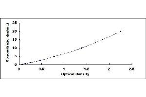 Typical standard curve