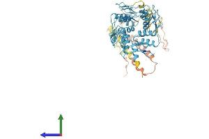 AlphaFold protein structure predicition of Human Recombinant ZNF404 Protein, UniprotID Q494X3