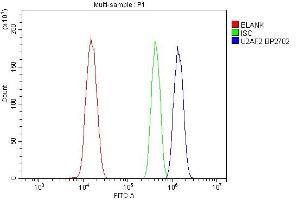 Flow Cytometry analysis of ANA-1 cells using anti-U2AF2 antibody (ABIN7600793).