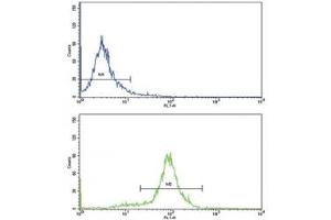 Flow Cytometry (FACS) image for anti-Chemokine (C-C Motif) Ligand 2 (CCL2) (AA 62-89) antibody (ABIN3030482)