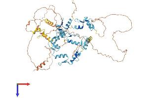 ZNF770 Protein (AA 1-691) (His tag)