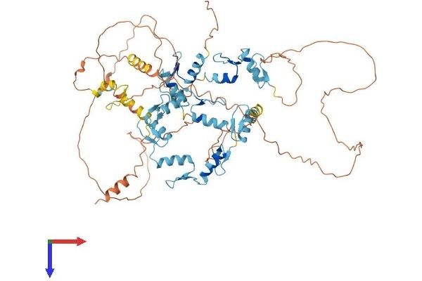 ZNF770 Protein (AA 1-691) (His tag)