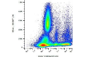 Flow cytometry analysis (surface staining) of human buffy coat cells with anti-human CD57 (TB01) purified, GAM-APC.