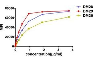 Affinity ranking of different Rabbit anti-CD38 mAb clones by titration of different concentration onto Raji cells. (CD38 Antikörper  (AA 43-300))