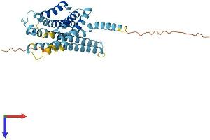 GPBAR1 Protein (AA 1-330) (His tag)