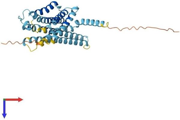 GPBAR1 Protein (AA 1-330) (His tag)