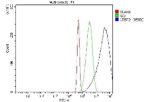 Flow Cytometry analysis of A431 cells using anti-CTBP2 antibody (ABIN7601325).
