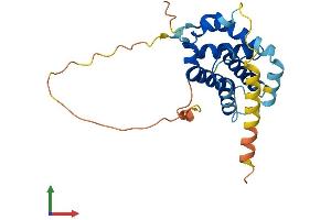 AlphaFold protein structure predicition of Human Recombinant BCL2 Protein, UniprotID P10415 (Bcl-2 Protein (AA 1-239) (His tag))